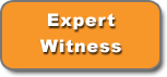 expert witness services